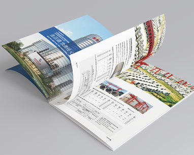 山東龍泉股份宣傳畫冊(cè)
